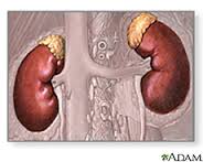 current research on adrenal cancer