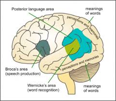 Aphasia