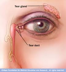 Blocked tear duct | Spain| PDF | PPT| Case Reports | Symptoms | Treatment