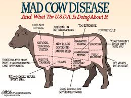 Bovine Spongiform Encephalopathy   Bovine Spongiform Encephalopathy 38961 