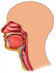 dysarthria mouth system muscles throat respiratory speech ppt which difficulty weak controlling condition them use