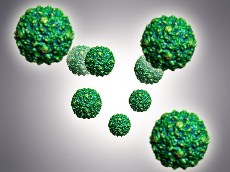 Enterovirus D68 | Brazil| PDF | PPT| Case Reports | Symptoms | Treatment