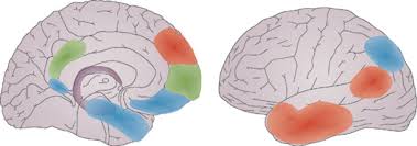 frontotemporal dementia introduction degeneration lobes