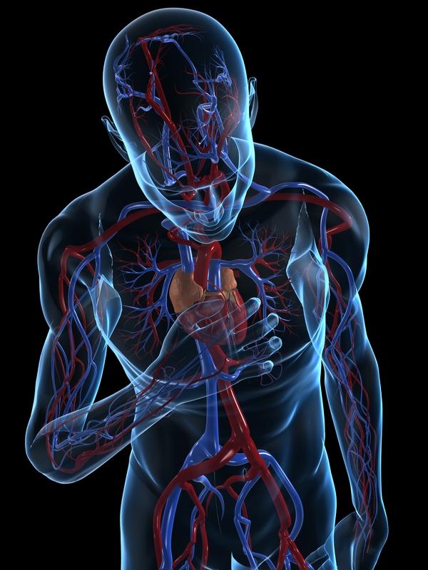 ischaemic-heart-disease-google-search-ischemic-heart-disease-heart