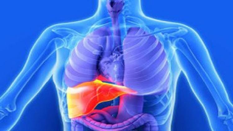 primary-biliary-cirrhosis-medicolearning