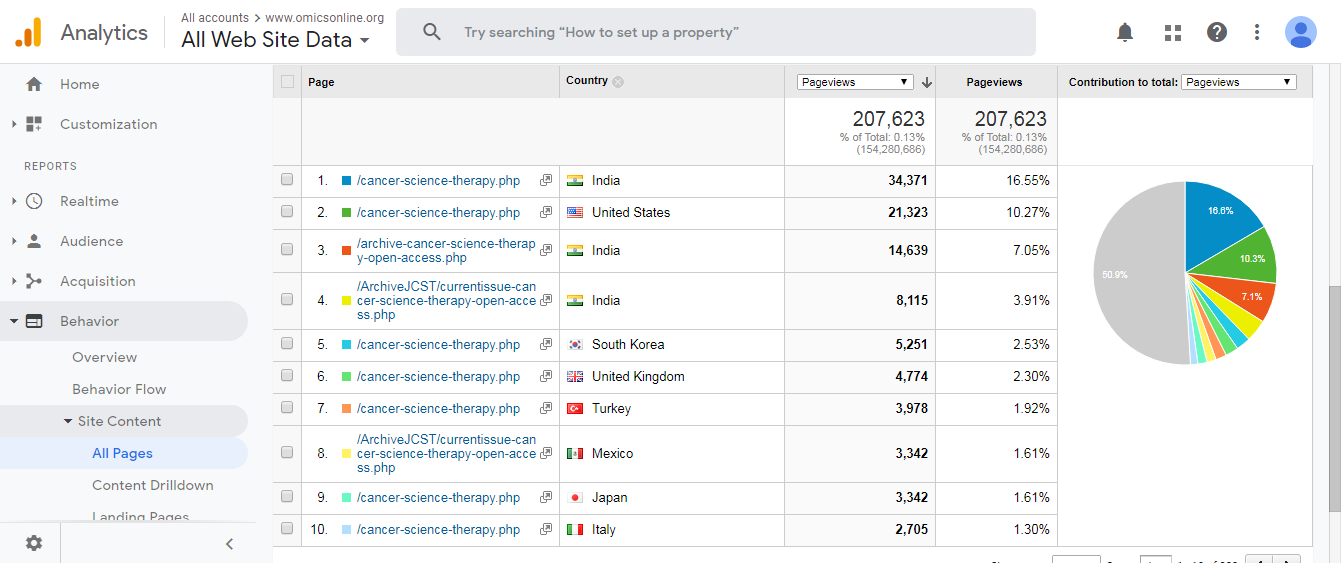 Visitor Analysis Report