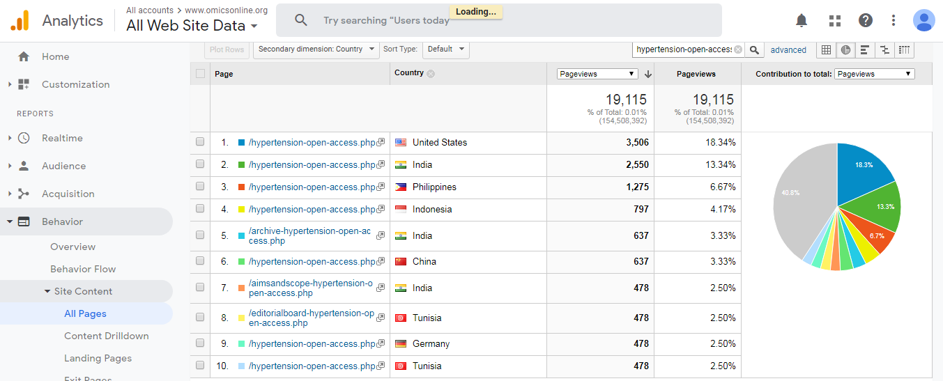 Visitor Analysis Report