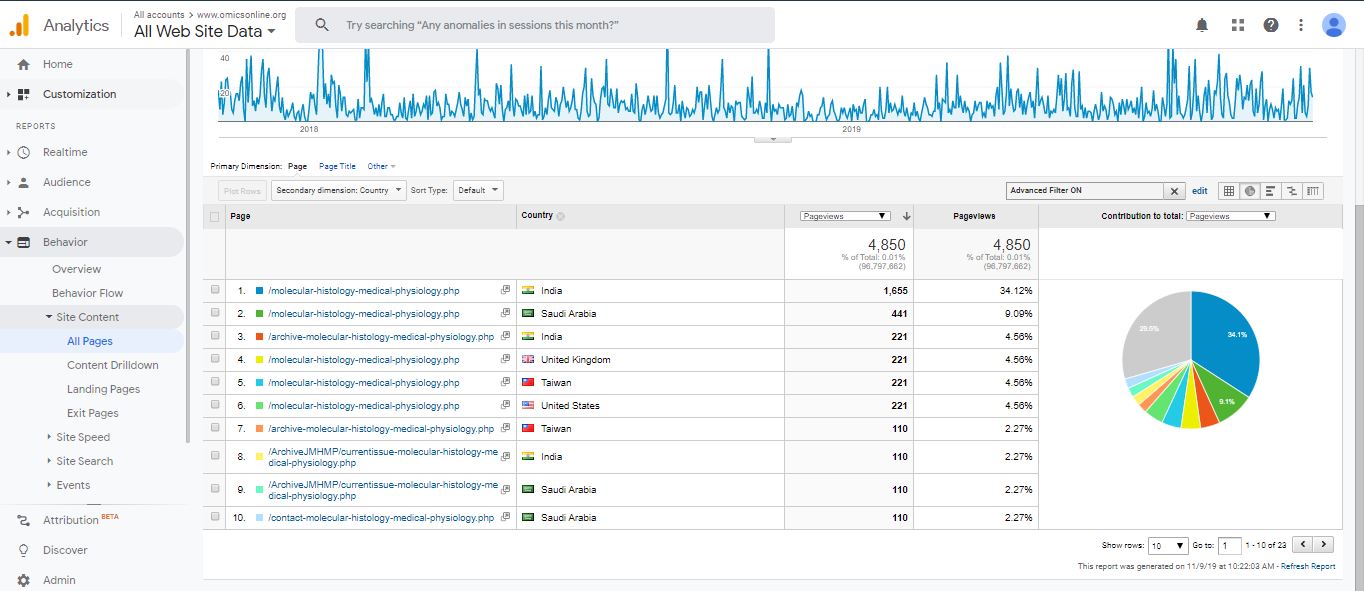 Visitor Analysis Report