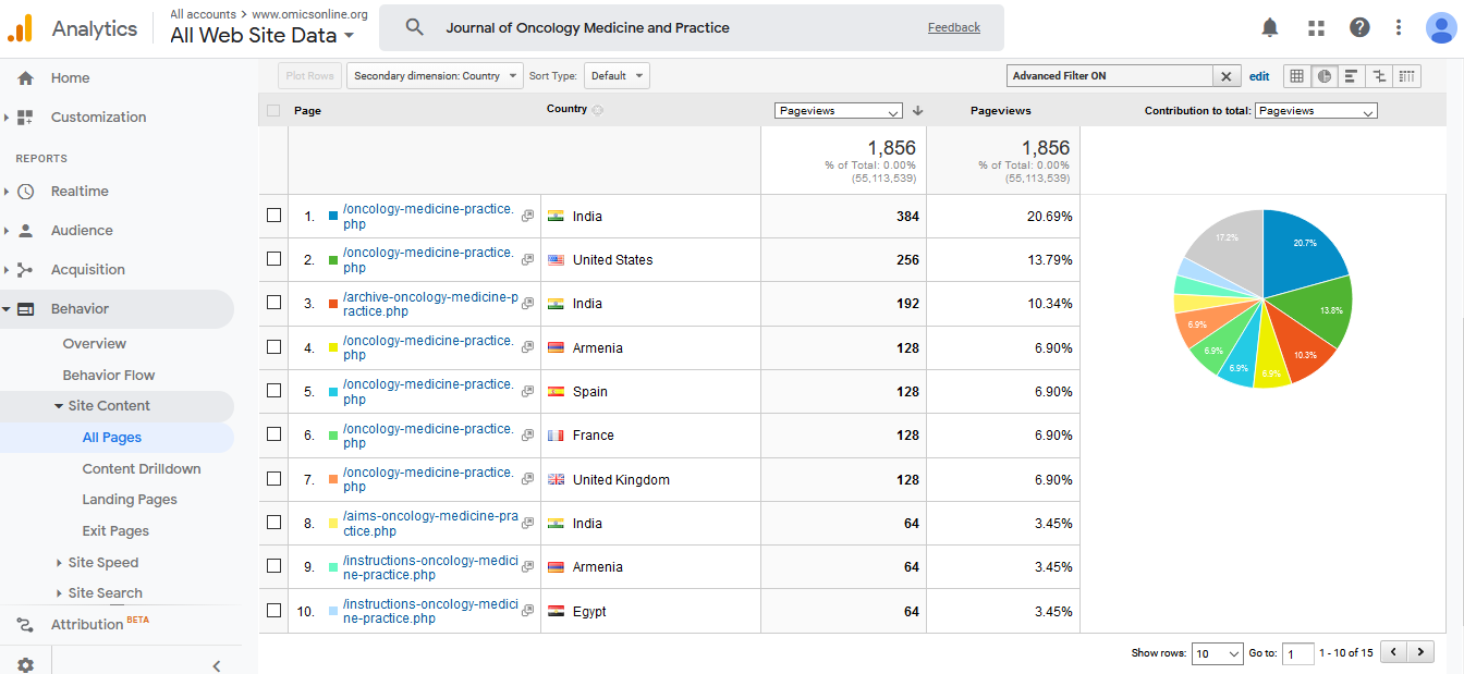 Visitor Analysis Report