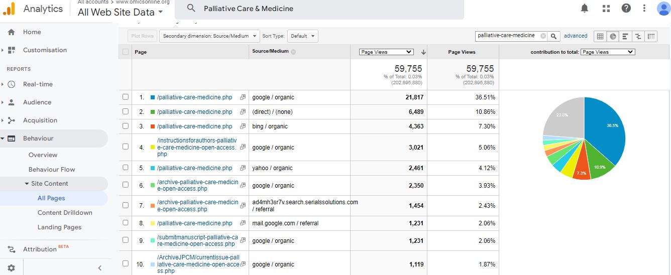 Visitor Analysis Report