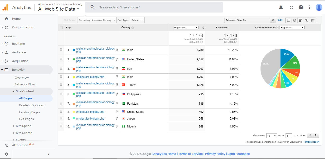 Visitor Analysis Report